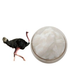Ostrich Oil Manufacturer - Cosmetic Grade 100% Pure for Skincare