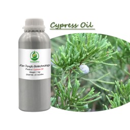 Cypress Essential Oil Factory - Private Label Bulk 100% Pure