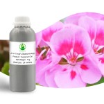 Geranium Oil Manufacturer - Cosmetic Grade Pure for Skin Care