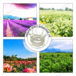 Rose Essential Oil Manufacturer - Pure Organic Face Massage Fragrance