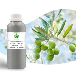 Argan Oil Supplier - Organic Morocco for Hair Care Skincare