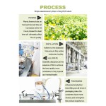 Coconut Oil Supplier - Bulk Clear Virgin Fractionated Natural