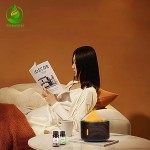 Air Diffuser Manufacturer - Portable Flame Humidifier Household