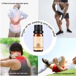 Ginger Rosemary Oil Manufacturer - Factory Directly Pure Natural