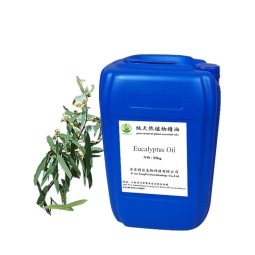 Eucalyptus Essential Oil Supplier - Bulk Price Private Label