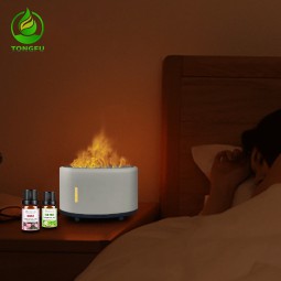Ultrasonic Diffuser Factory - 150ml with Flame LED Light Music