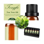 Tea Tree Essential Oil Manufacturer - OEM Wholesale Top Grade