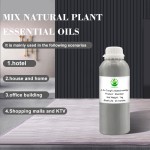 Hotel Aroma Diffuser Oil Supplier - 500ML Capacity Reed Diffuser