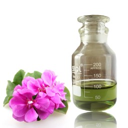 Geranium Oil Manufacturer - Cosmetic Grade Pure for Skin Care