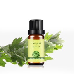 Wormwood Oil Factory - Top Grade 100% Pure Cold Pressed