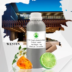 Hotel Essential Oil Manufacturer - Aromatherapy for Humidifier Machine