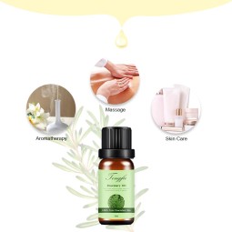 Rosemary Essential Oil Supplier - Top Quality Natural SPA Massage
