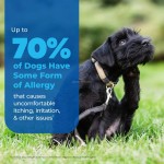 Dog Allergy Chews Supplier - Fish Oil Probiotics Itching Relief