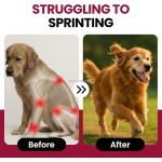 Hip Joint Chews Supplier - More Effective Than Glucosamine