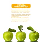 Stem Cell Capsules Supplier - Fruit Plant Extract Anti-aging