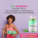 Sea Moss Gummies Manufacturer - Organic Detox Cleanse Immune Energy
