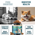 Dog Digestive Supplement Factory - Pumpkin Probiotics Gut Health