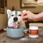 Probiotics for Pets Supplier - Powder 5 Billion CFUs Strength