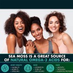 Sea Moss Capsules Factory - Irish Burdock Root Superfood Immunity