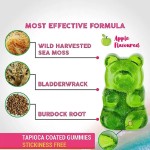 Sea Moss Gummies Manufacturer - Organic Detox Cleanse Immune Energy