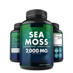 Sea Moss Capsules Factory - Irish Burdock Root Superfood Immunity
