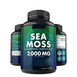 Sea Moss Capsules Factory - Irish Burdock Root Superfood Immunity