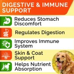 Dog Probiotic Factory - 3 in 1 Digestive Health Diarrhea Relief