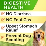 Dog Probiotic Factory - 3 in 1 Digestive Health Diarrhea Relief