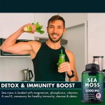 Sea Moss Capsules Factory - Irish Burdock Root Superfood Immunity
