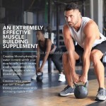 Creatine Gummies Supplier - Pre-Workout Energy Muscle Growth