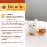 Probiotics for Pets Supplier - Powder 5 Billion CFUs Strength