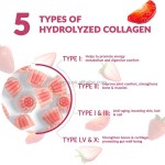 Collagen Gummies Supplier - Female Hydrolyzed Antioxidant Metabolism