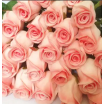 Artificial Rose Flower Manufacturer - 50cm Single-Headed Wedding Decoration