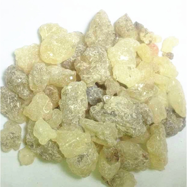 Damar Gum Resin Supplier - High Quality 100% Natural Best Price