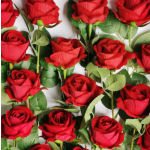 Artificial Rose Flower Manufacturer - 50cm Single-Headed Wedding Decoration