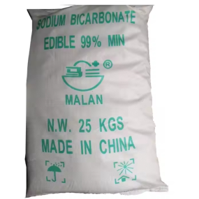 Sodium Bicarbonate Powder Supplier - Feed Grade NAHCO3 Soda Ash