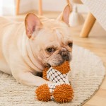 Plush Dog Chew Toy Factory - Safe Non-toxic Bone Shaped