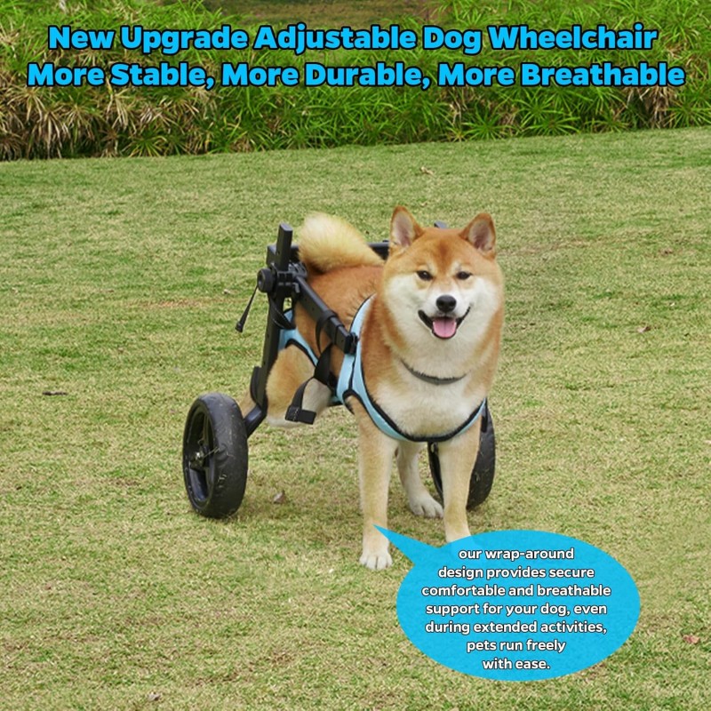 Dog Wheelchair Supplier - Hind Legs Disabled Walking