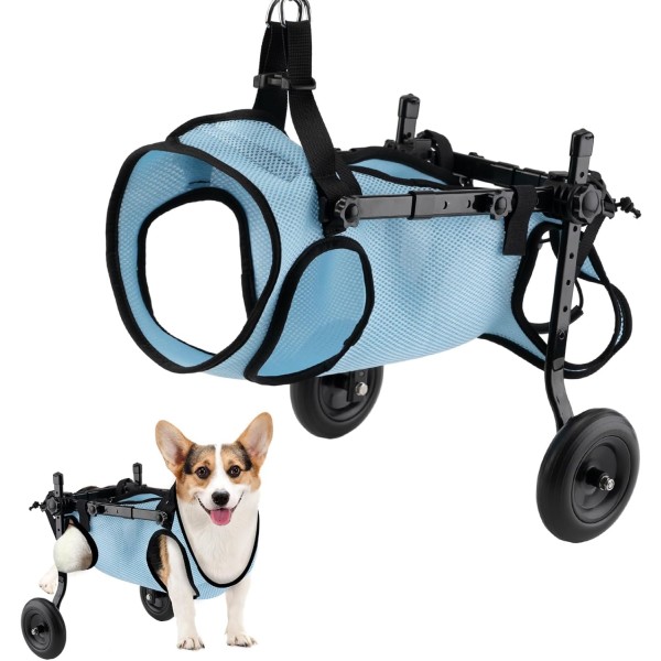 Dog Wheelchair Supplier - Hind Legs Disabled Walking