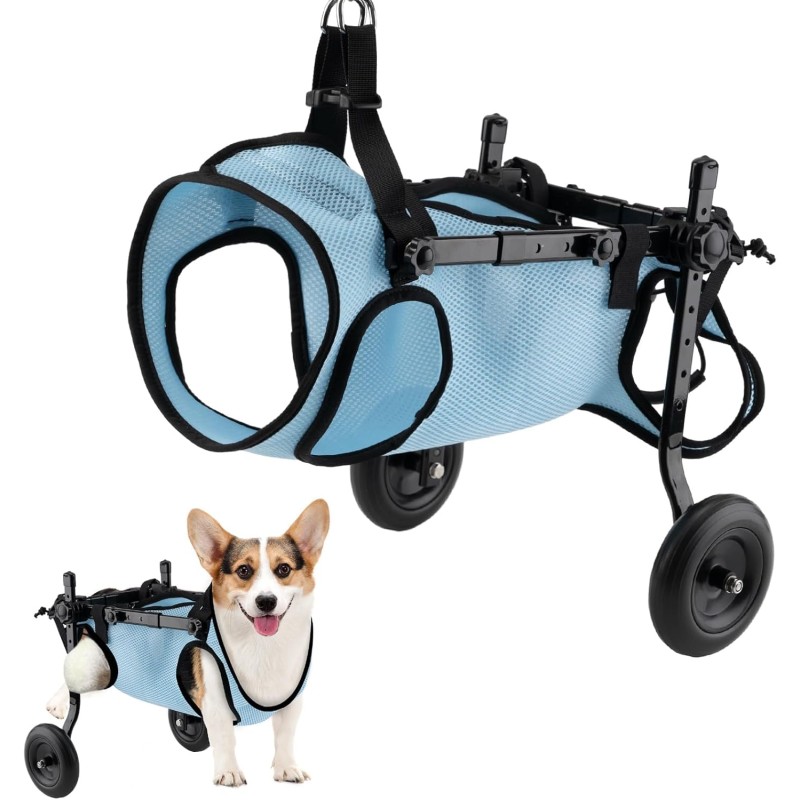 Dog Wheelchair Supplier - Hind Legs Disabled Walking