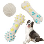 Dog Chew Toy Supplier - TPR Non-Toxic Bone Teeth Cleaning