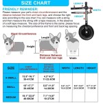 Dog Wheelchair Supplier - Hind Legs Disabled Walking