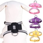 Dog Harness Manufacturer - Crystal Rhinestone Bling Nylon
