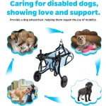 Dog Wheelchair Supplier - Hind Legs Disabled Walking