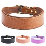 Leather Dog Collar Supplier - Crocodile-pattern Outdoor