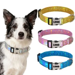 Dog Collar Supplier - Reflective Nylon Adjustable Outdoor