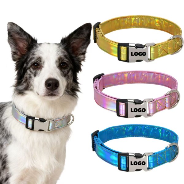 Dog Collar Supplier - Reflective Nylon Adjustable Outdoor
