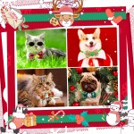 Pet Bowtie Supplier - Christmas Polyester Winter