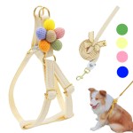 Dog Harness Set Supplier - 5 Colors Vest Leash