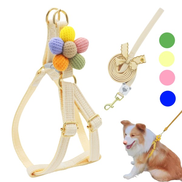 Dog Harness Set Supplier - 5 Colors Vest Leash